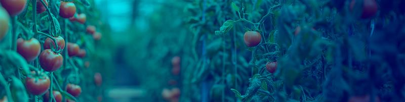 Étude de cas : Construire la confiance et améliorer l'efficacité grâce à un partenariat stratégique - Image