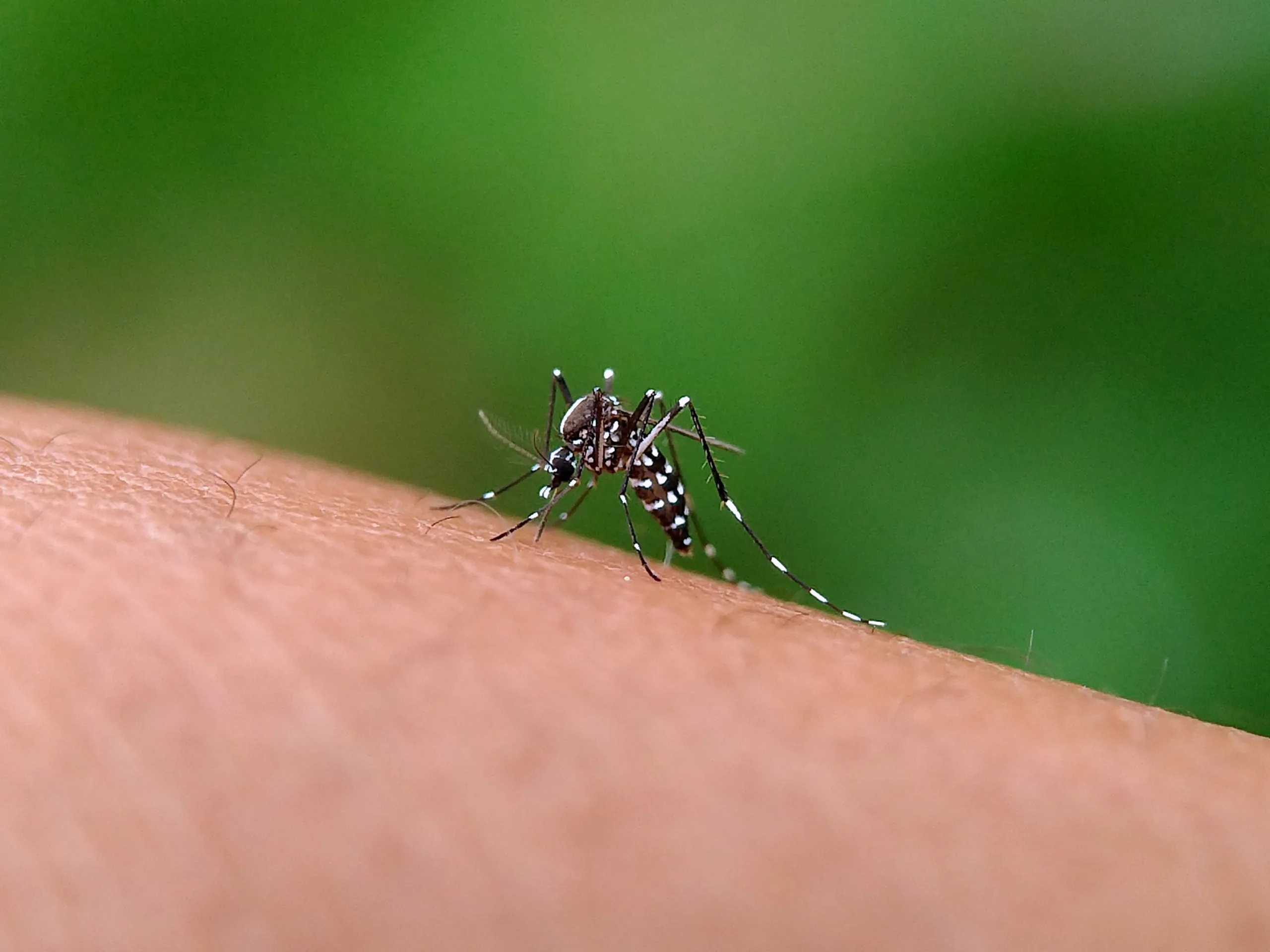 Dengue no Brasil: insights de um cenário de alerta - Image