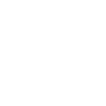 AI Customer Services