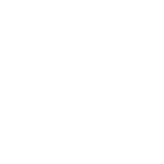 Cyber
